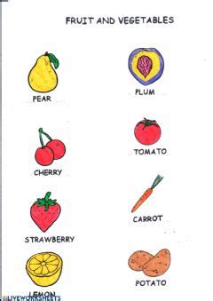 fruit  vegetables worksheets   exercises