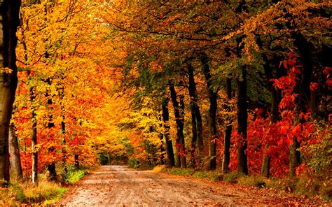 Autumn Country Wallpapers Top Free Autumn Country Backgrounds