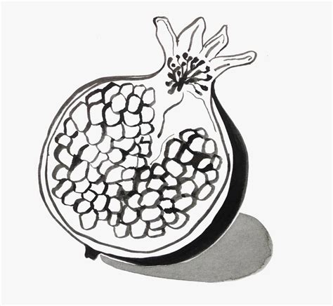 Pomegranate Drawing At Getdrawings Pomegranate Clipart Png Anar