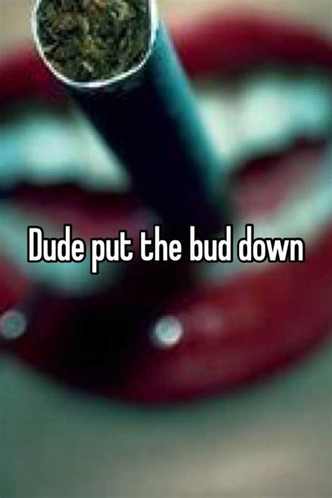 Dude Put The Bud Down