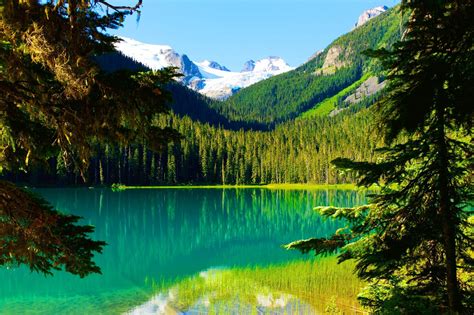 Nature Landscape Trees Lake Mountain Forest Summer Water Snowy Peak