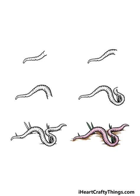 Worm Drawing How To Draw A Worm Step By Step