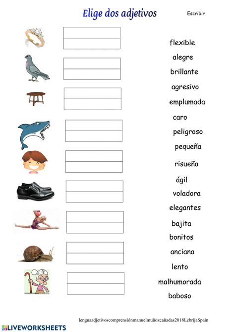 Adjetivo Com A Letra E