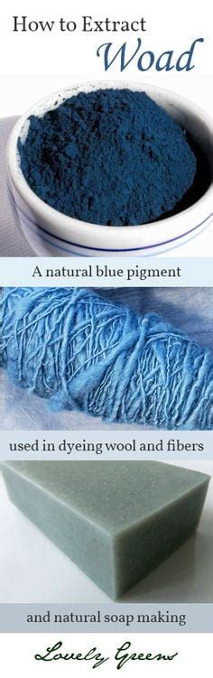 Extracting Woada Natural Blue Pigment Garden Living And Making