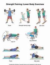 Strength Training For Seniors Exercises Images