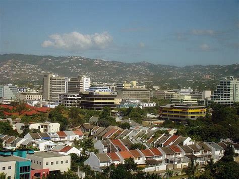 A City With Lots Of Buildings And Trees In The Foreground Surrounded