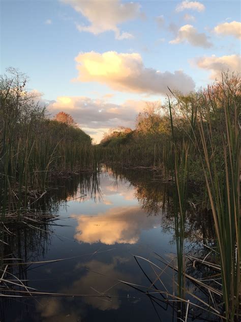 Mirrored Clouds In The Florida Everglades Smithsonian Photo Contest