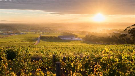 8 Awesome Wine Farms To Visit In Cape Town Cape Town Luxury Escapes