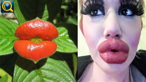 10 Plants That Look Like Human Body Parts Youtube