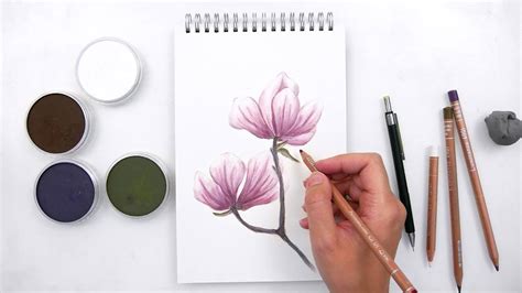 Drawing Flowers With Panpastel And Colored Pencils Youtube
