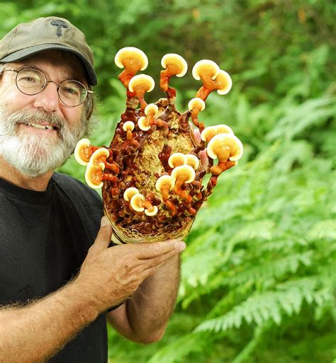 Fungi Perfecti | Home | Fungi, Garden remedies, Stuffed mushrooms