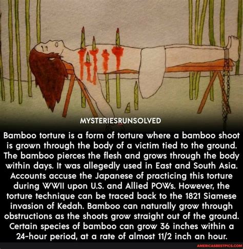 Mysteriesrunsolved Bamboo Torture Is A Form Of Torture Where A Bamboo Shoot Is Grown Through The