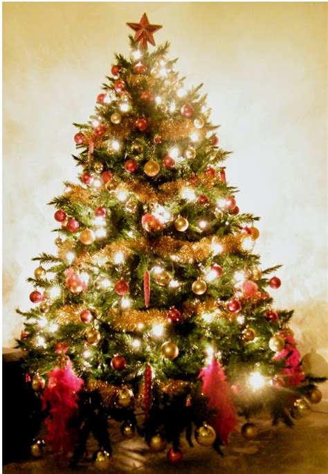 Buonasera con il nuovissimo tutorial di maria mancini!!! ilfilodelleidee: Come addobbare l'albero di Natale