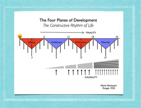 El Ritmo Constructivo De La Vida Los Cuatro Planos Del Desarrollo
