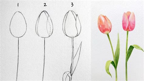 Vẽ hoa: 30 cách vẽ hoa đơn giản, đẹp nhất