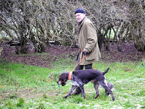 Hundekurs Verein Deutsch Drahthaar E V Gruppe Hessen