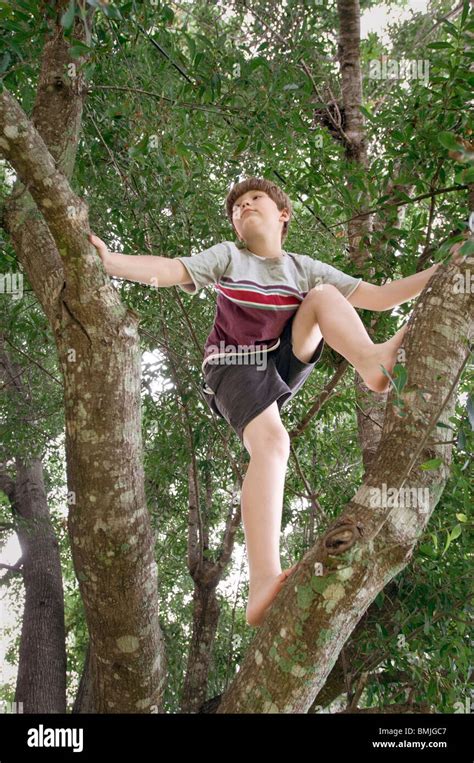 Page 2 Boy Climbing Tree Barefoot High Resolution Stock Photography