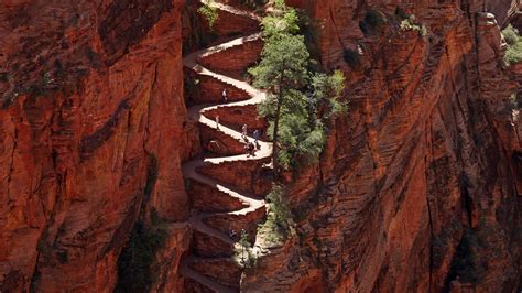 The Best Zion National Park Hikes From Angel s Landing to Timber Creek Condé Nast Traveler
