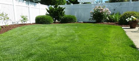 Whats The Best Grass For North Texas Lawns Abc Blog