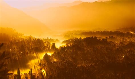 Gambar Pemandangan Hutan Gurun Gunung Awan Kabut Matahari