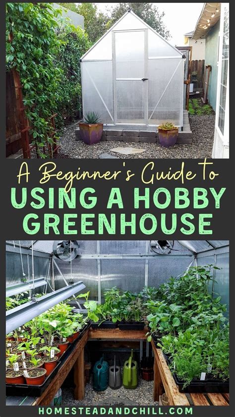 I began looking forward to a warm retreat to help ease the late winter. A Beginner's Guide to Using a Hobby Greenhouse | Backyard ...