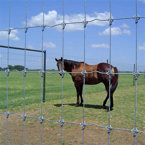 Horse Tuff Fixed Knot Fence The Superior Horse Fence Stay Tuff