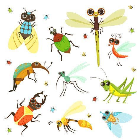 Bugs Butterfly And Other Insects In Cartoon Style By Onyx Thehungryjpeg