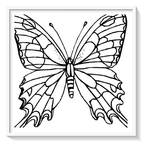 Los M S Lindos Dibujos De Mariposas Para Colorear Y Pintar A Todo Color Im Genes Prontas Par