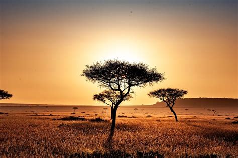 Schauen sie sich bewertungen und fotos von 10 strände in kenia, afrika auf tripadvisor an. privéreis - Kenia - strand - individueel
