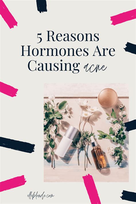 5 Ways That Hormones Are Causing Your Acne Outbreaks Acne Reasons