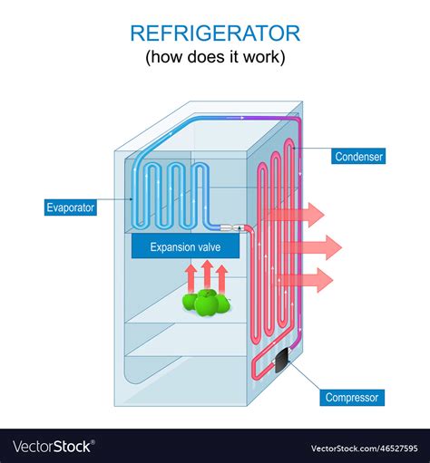 Refrigerator Working Principle How Does A Fridge Vector Image