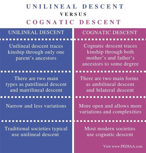 Explain The Difference Between Bilateral And Unilateral Descent