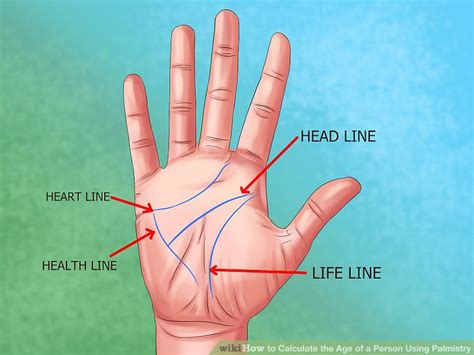 How To Calculate The Age Of A Person Using Palmistry 6 Steps