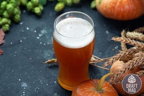 Best Beer For Thanksgiving A Guide To The Must Try Holiday Beers