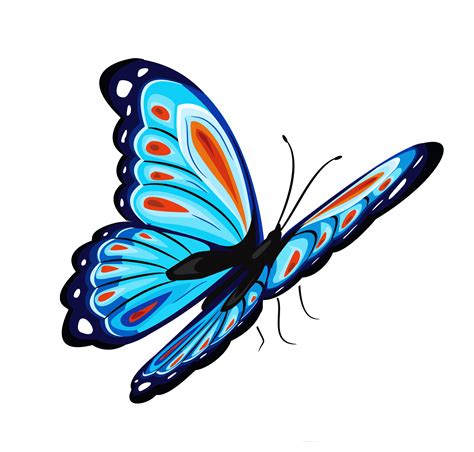 Collection Of Butterfly Hd Png Pluspng