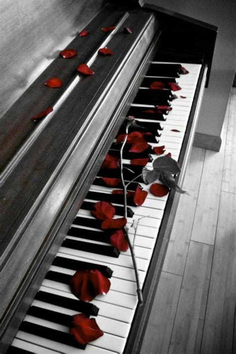 pin by nasmat el andalousse on mes rêves piano photography piano music photography