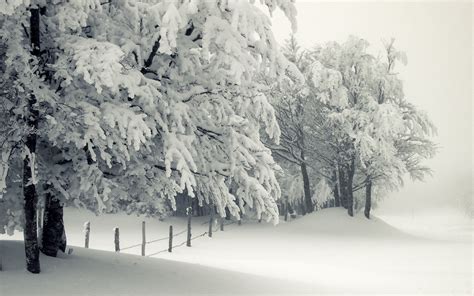 Winter Snow Background ·① Wallpapertag