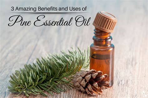 3 Amazing Benefits And Uses Of Pine Essential Oil Organic Aromas
