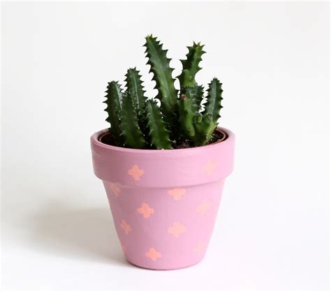 Cactus Planter Pastel Planter Small Plant Pot With By