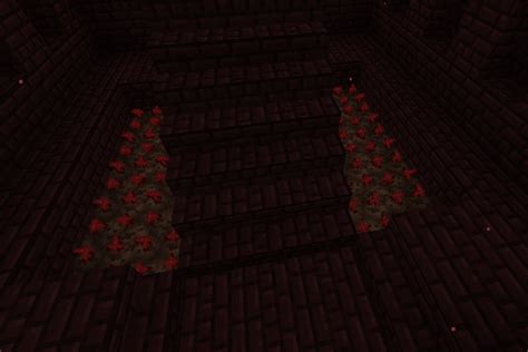 Nether Wart In Minecraft