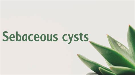 Sebaceous Cysts Symptoms Causes Treatment Diagnosis