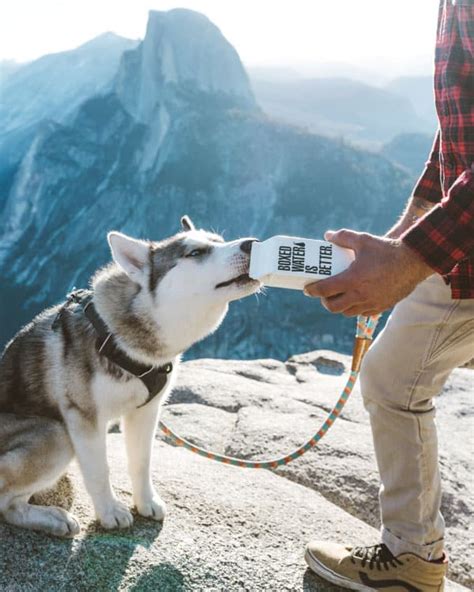 The daily amount of water that a child needs depends on factors such as age, weight and sex. How Much Exercise Does a Husky Puppy Need? - My Happy Husky