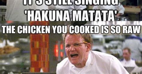 Hells Kitchen Memes Disturbingly Funny Pinterest Kitchen Memes
