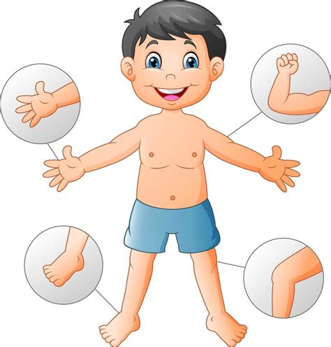 Cartoon Boy Vocabulary Human Body 12941608 Vector Art At Vecteezy