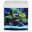Curved Glass Aquarium Fish Tank 42 / 62 Litre White