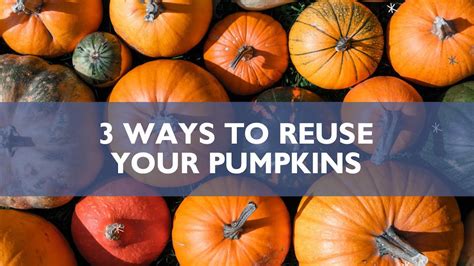 3 Ways To Reuse Halloween Pumpkins Youtube