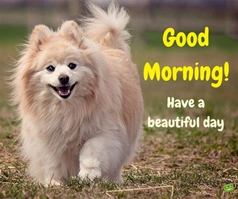 Good Morning Dog And Puppy Have A Beautiful Day Good Morning Pictures
