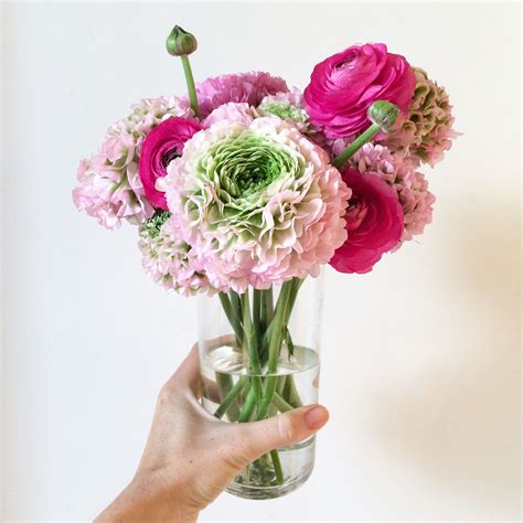 We did not find results for: Flower & Fringe // West Palm Beach Florist // Fresh Blooms ...