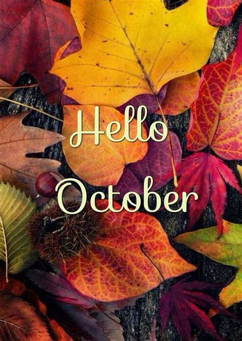 60 Hello October Images Pictures Quotes And Pics 2022