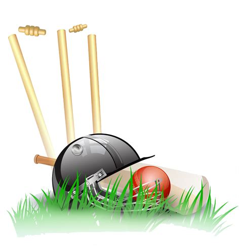 Cricket Png